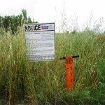 High grass PIC DOne 2