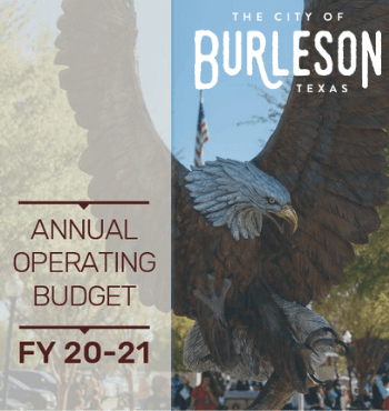 FY 20-21 Annual Budget
