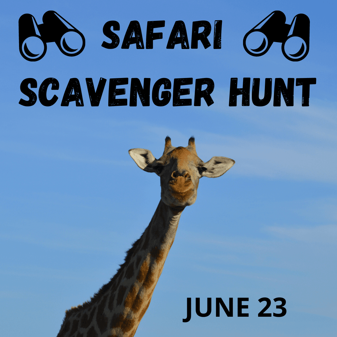 SAFARI SCAVENGER HUNT