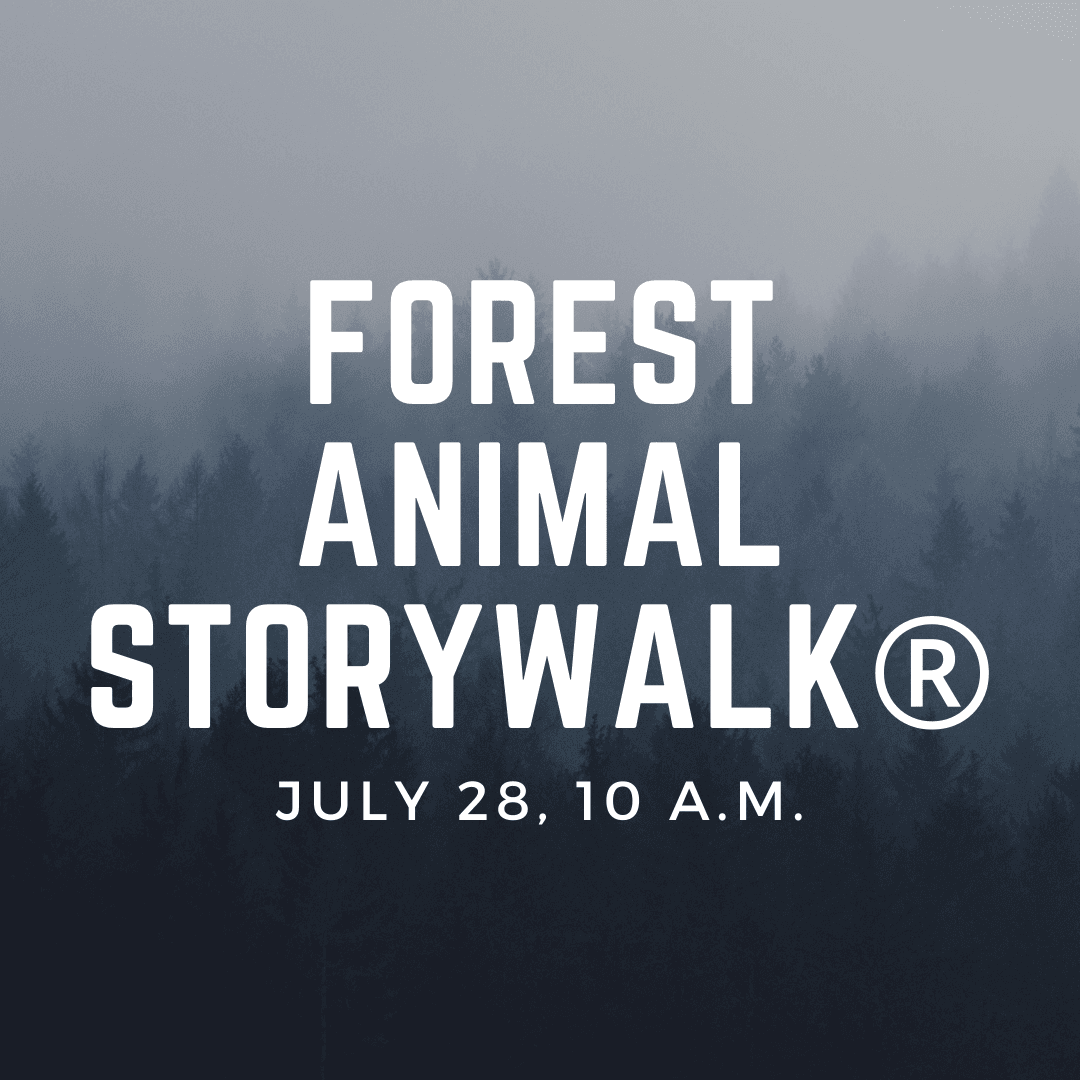 Forest Animal Storywalk