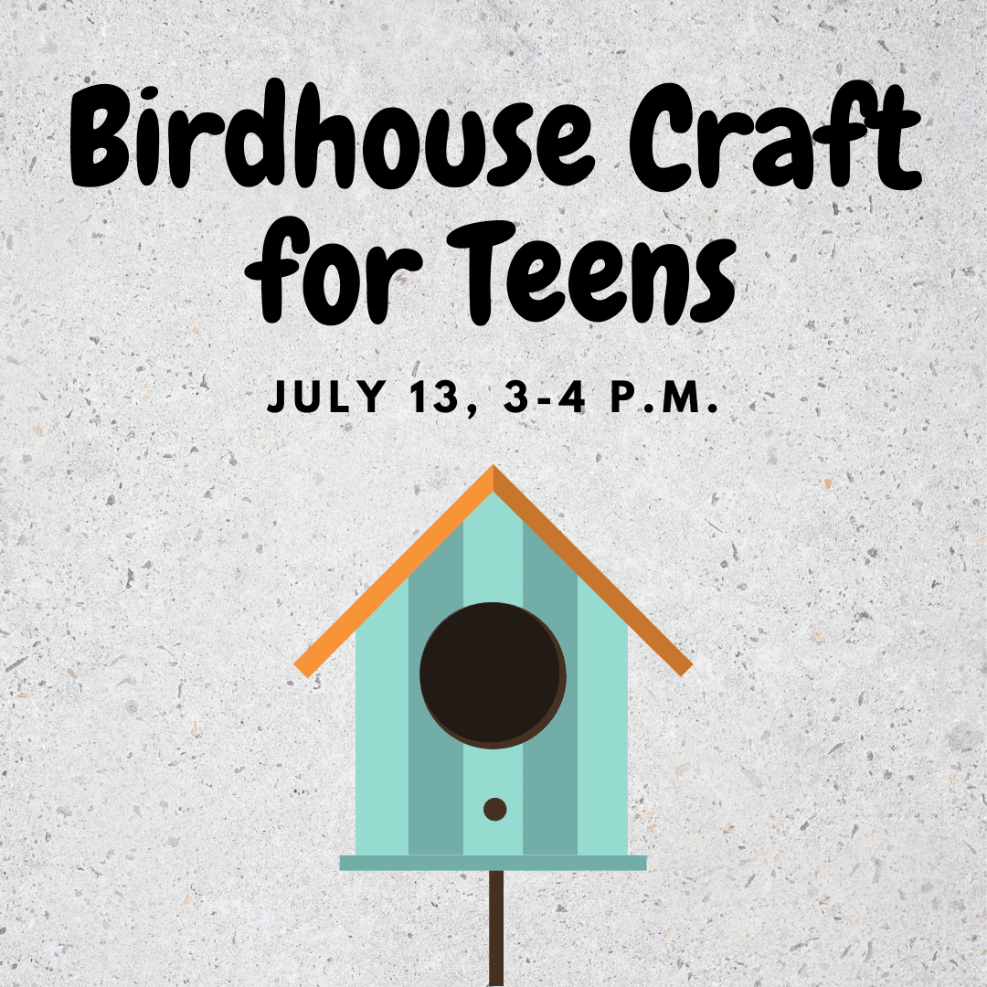 Birdhouse Craft for Teens