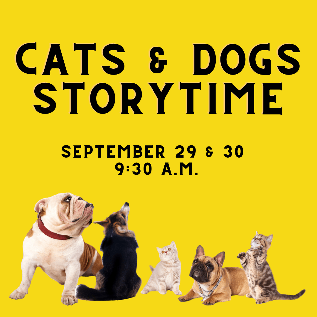 Cats  dogs storytime