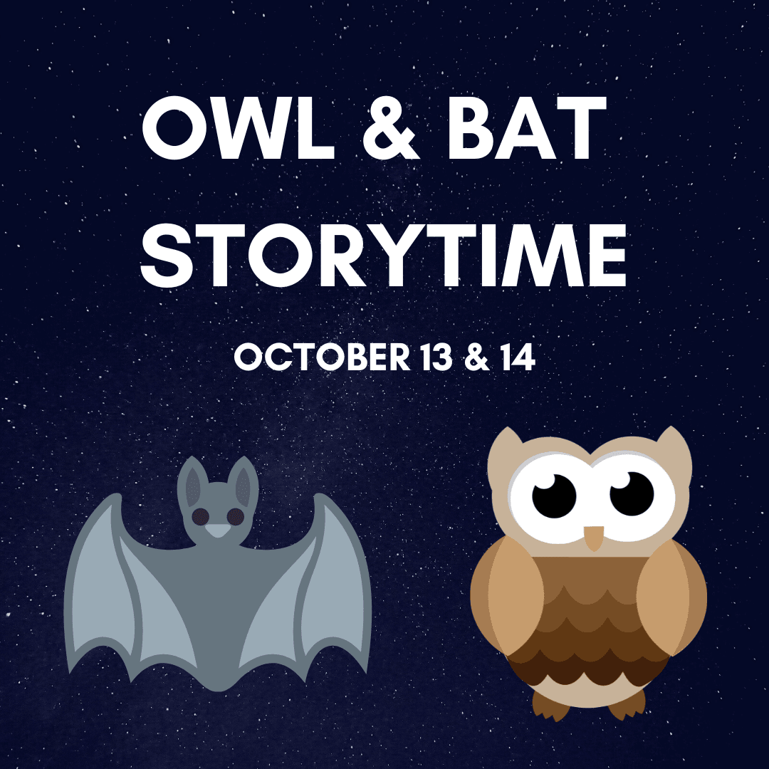 OWL  BAT STORYTIME (1)