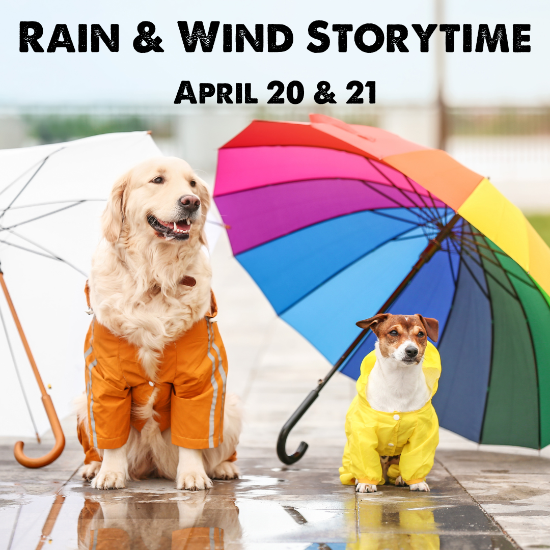Rain  Wind Storytime