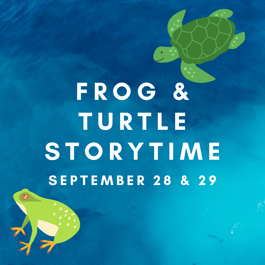 FROG TURTLE STORYTIME (2)