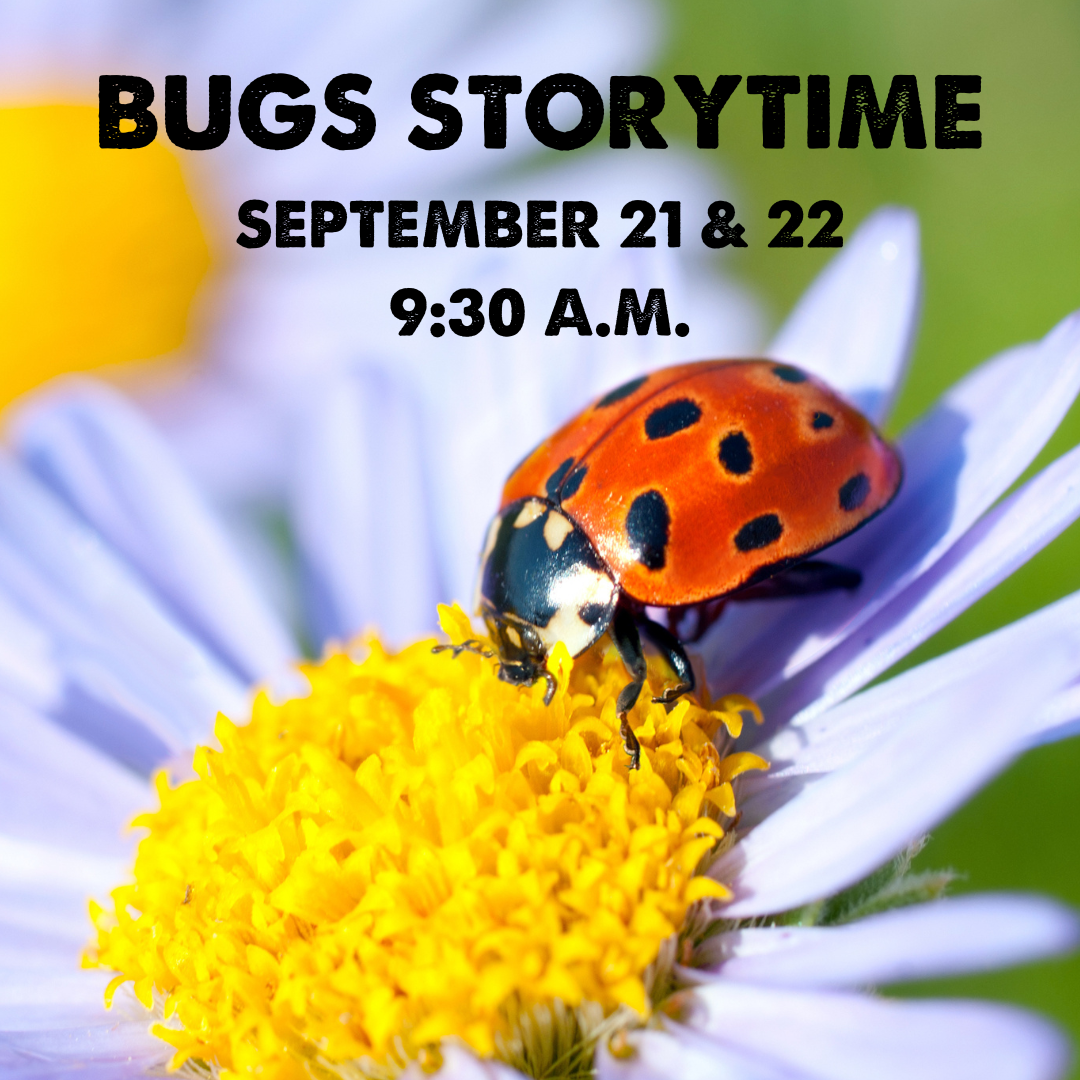 BUGS STORYTIME