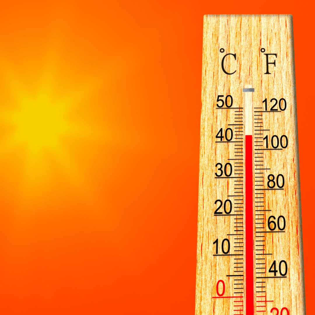 photo of a thermometer 