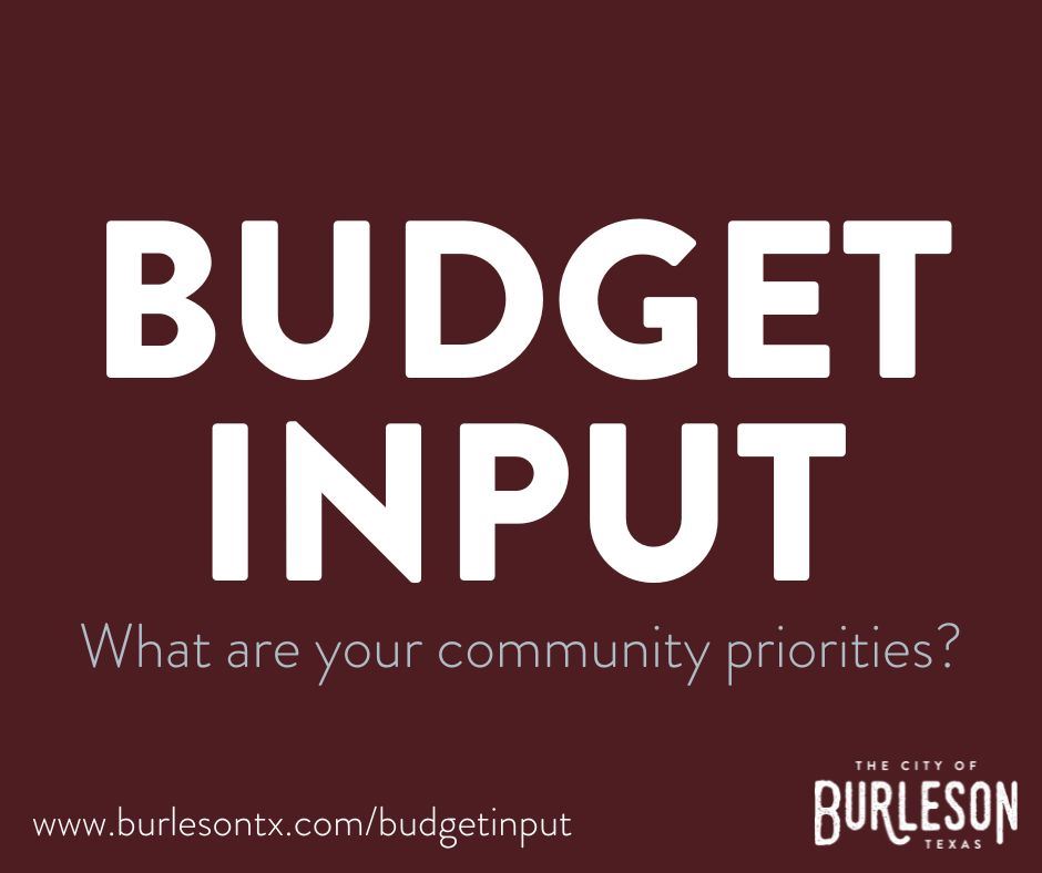 a graphic with text that says 'budget input' 