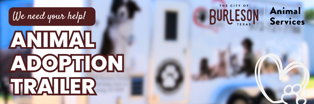 Animal adoption trailer 