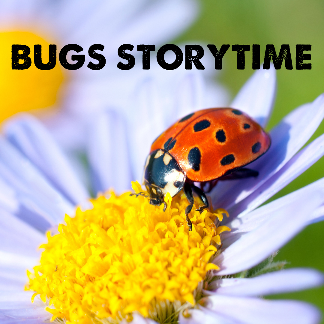 BUGS STORYTIME SEPTEMBER 15  16 930 A.M.