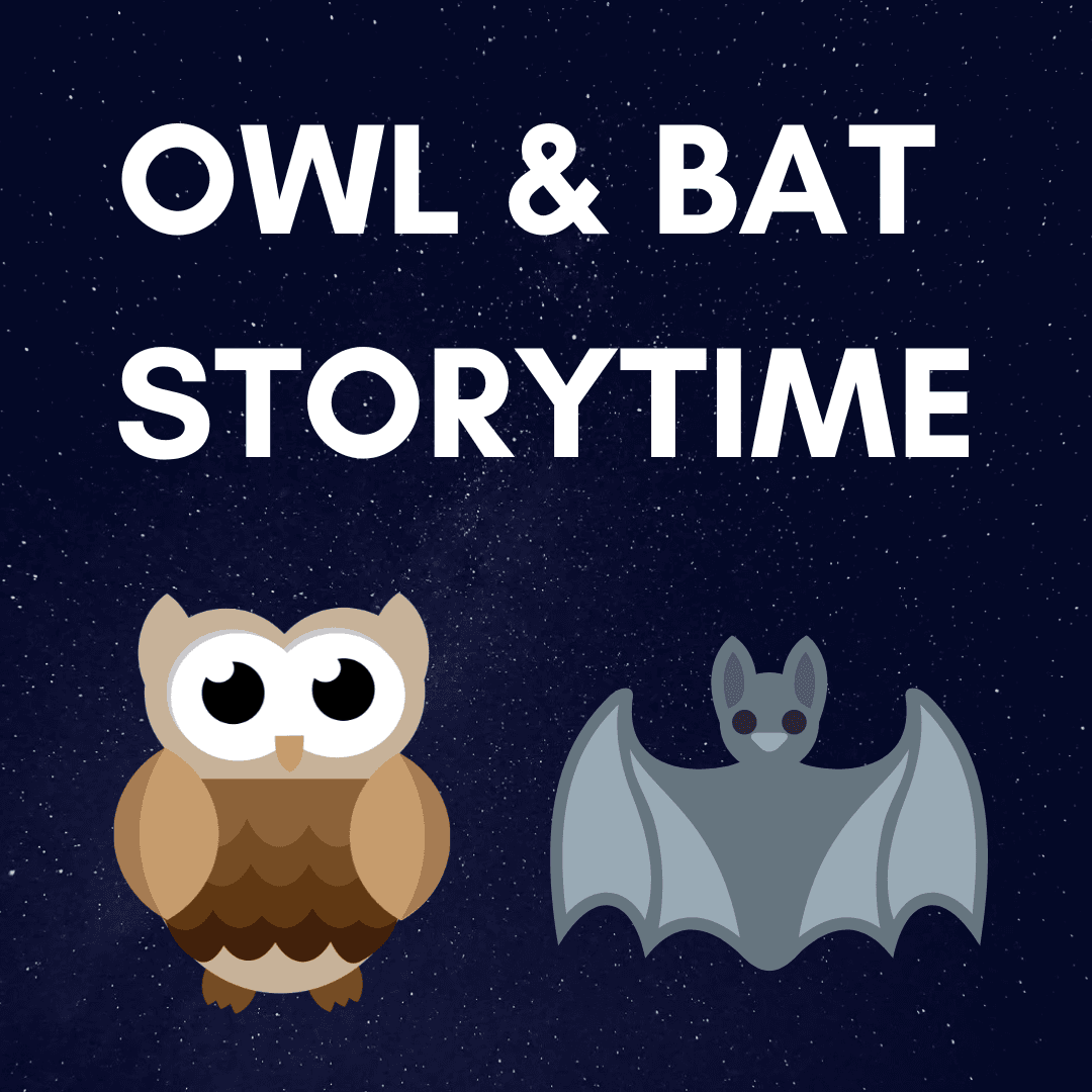OWL  BAT STORYTIME