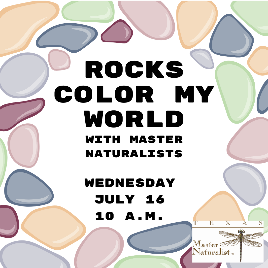 rocks color my world with master naturalists