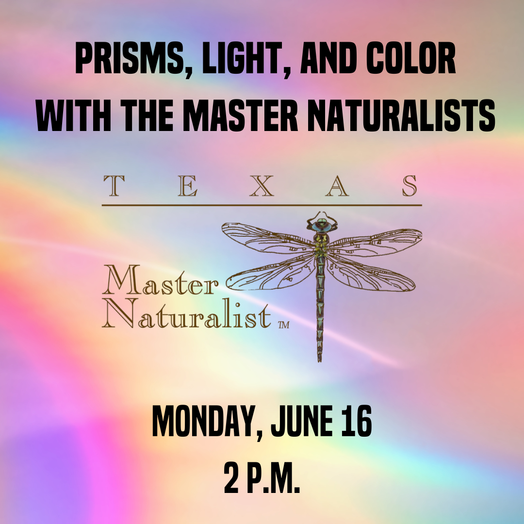 Prisms light and color