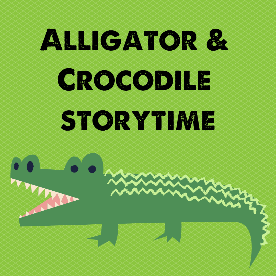 Alligator  Crocodile storytime (2)