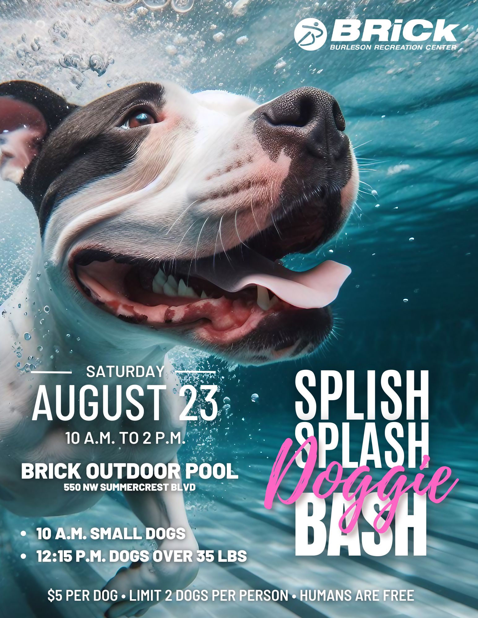 Splish Splash Doggie Bash Flyer