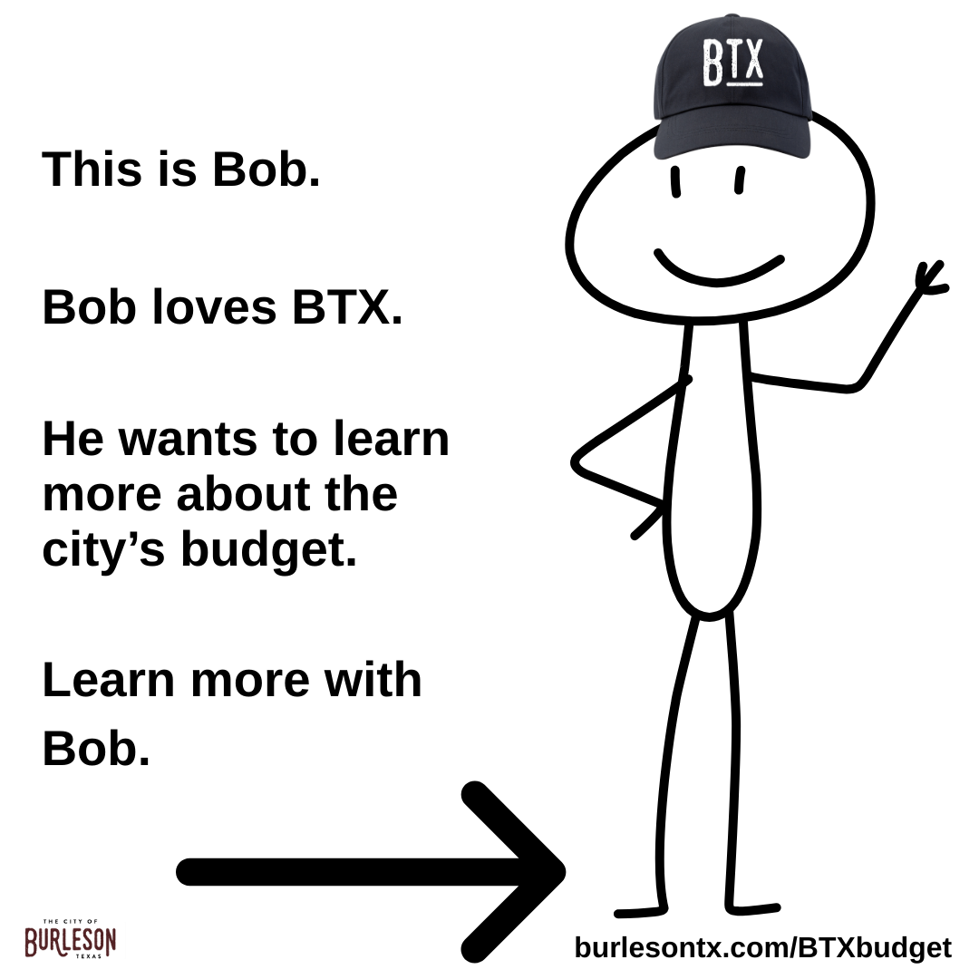 an image of a stick figure with text introducing the city budget