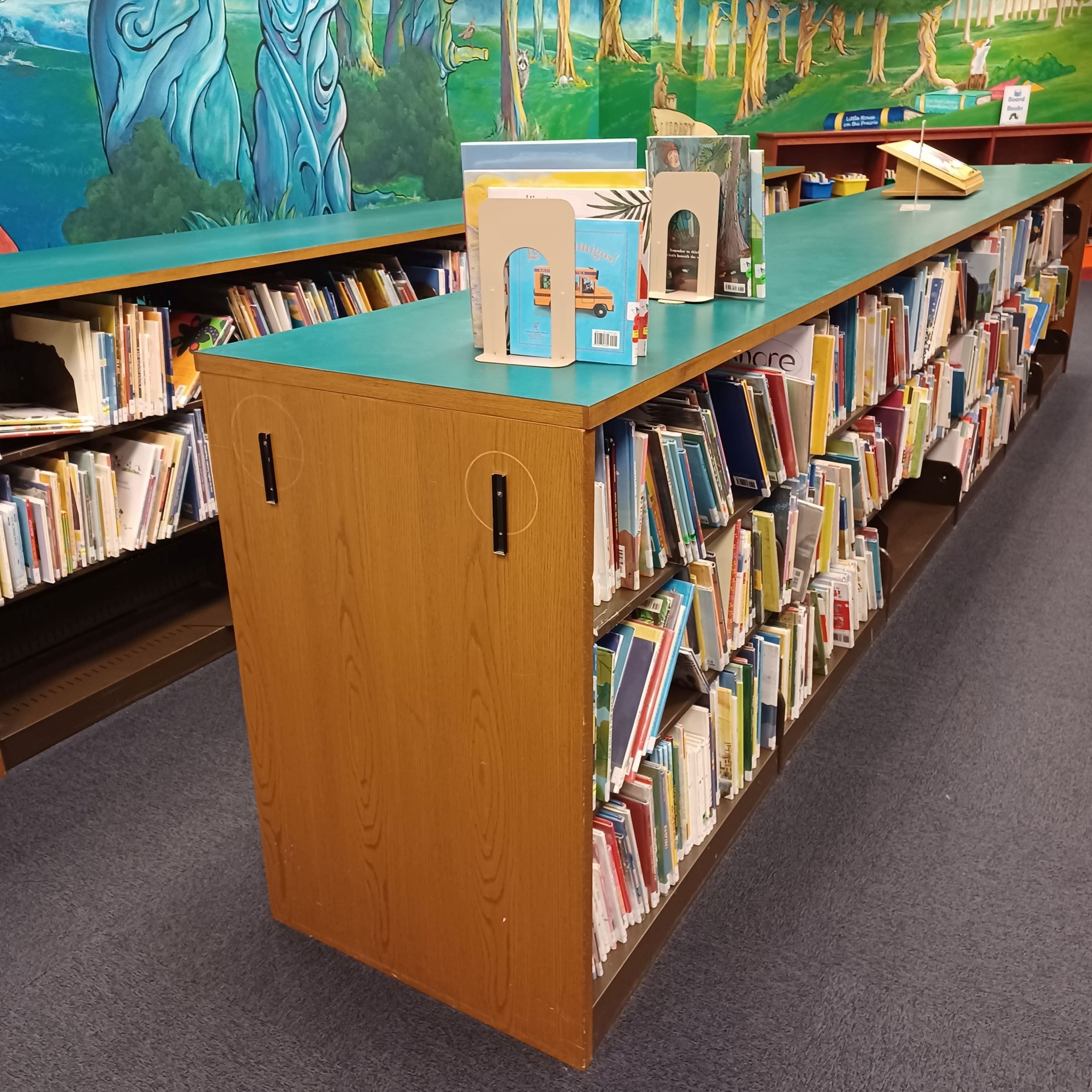 Current Picture Book Shelving