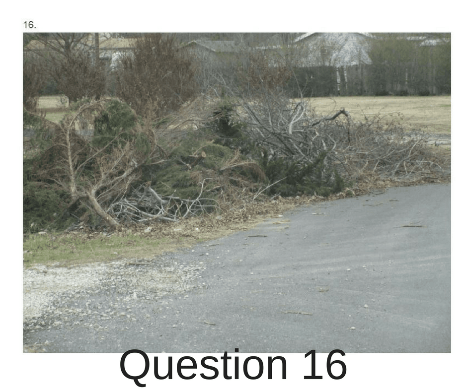 Limbs and debris in a pile next to the road