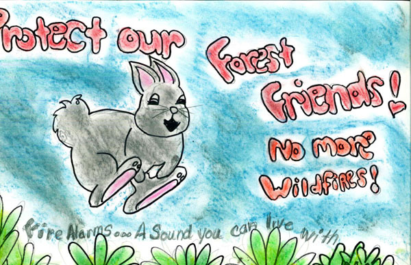 picture of fire awareness poster